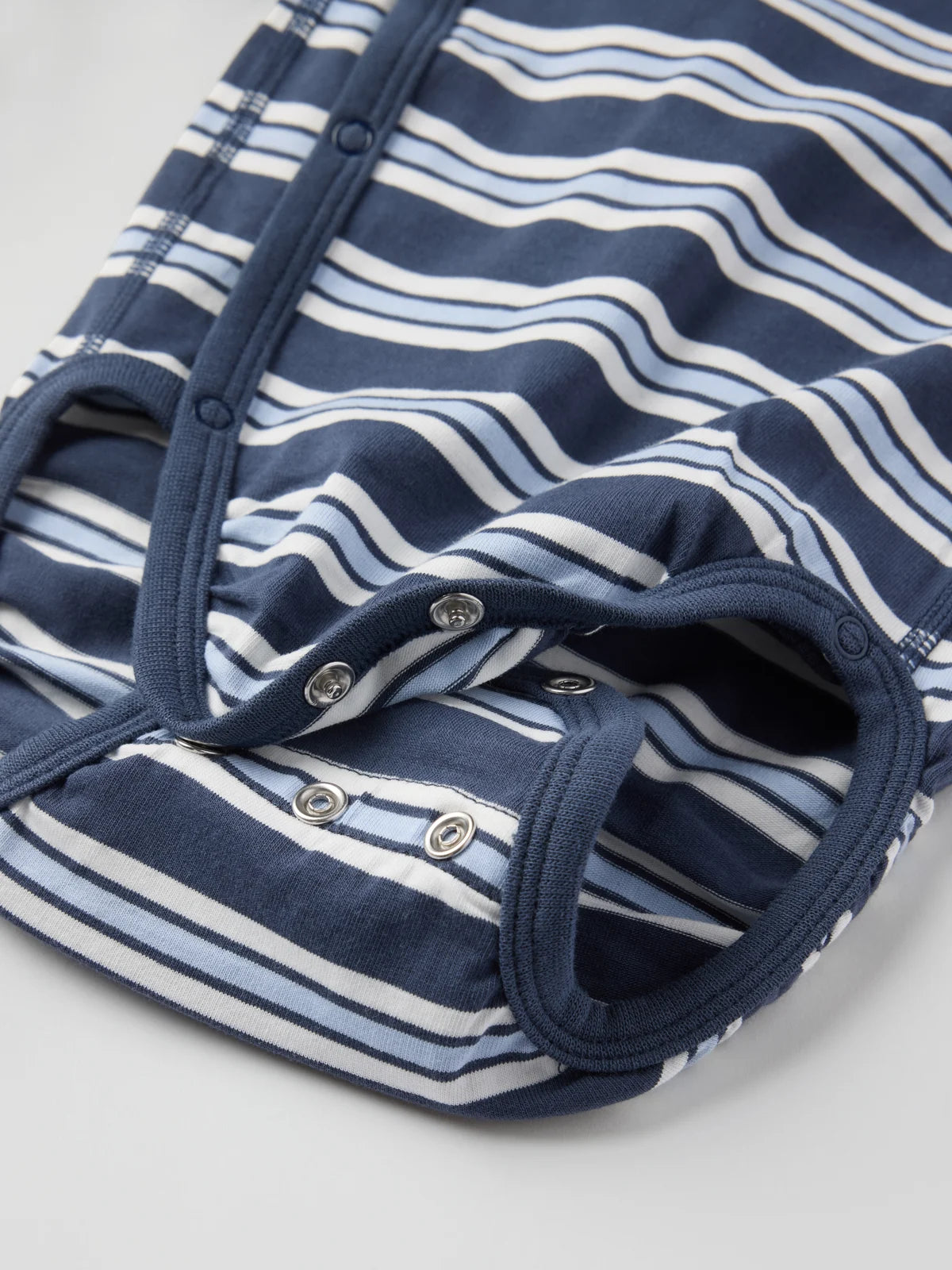 Skásamfella röndótt