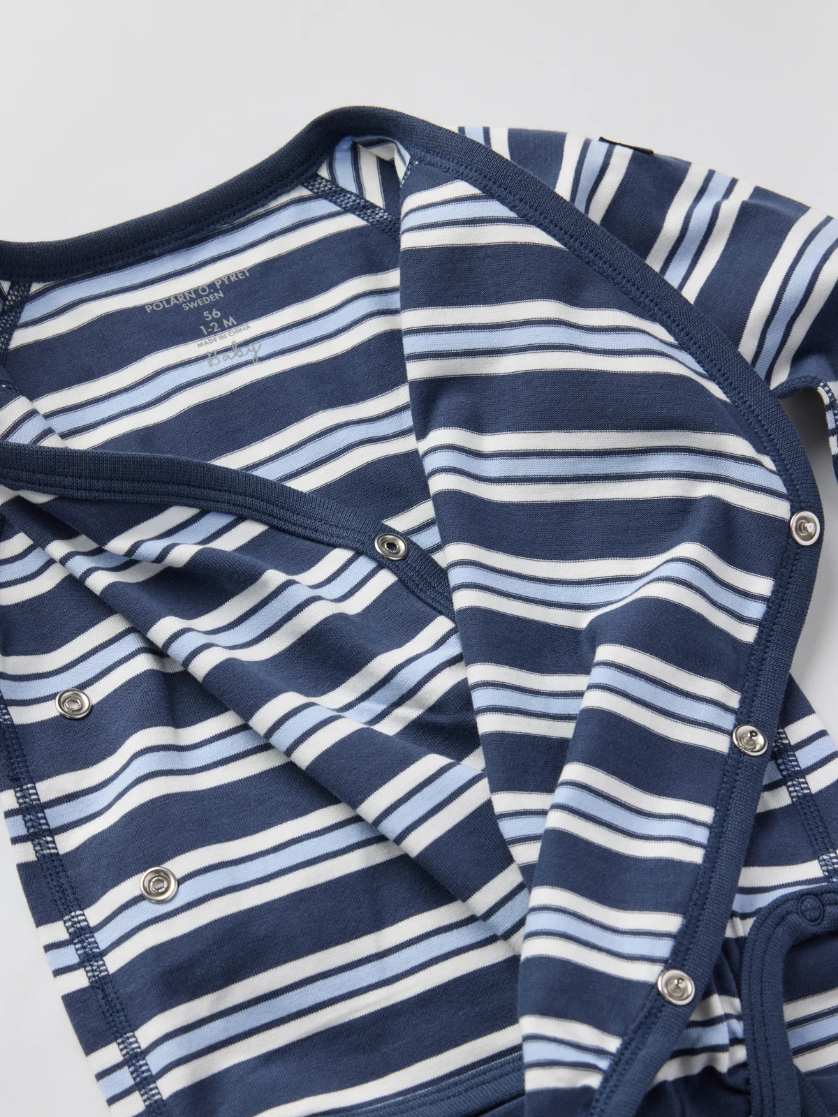 Skásamfella röndótt