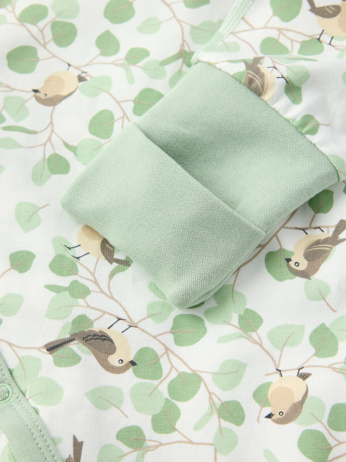 Ungbarna heilgalli Birds