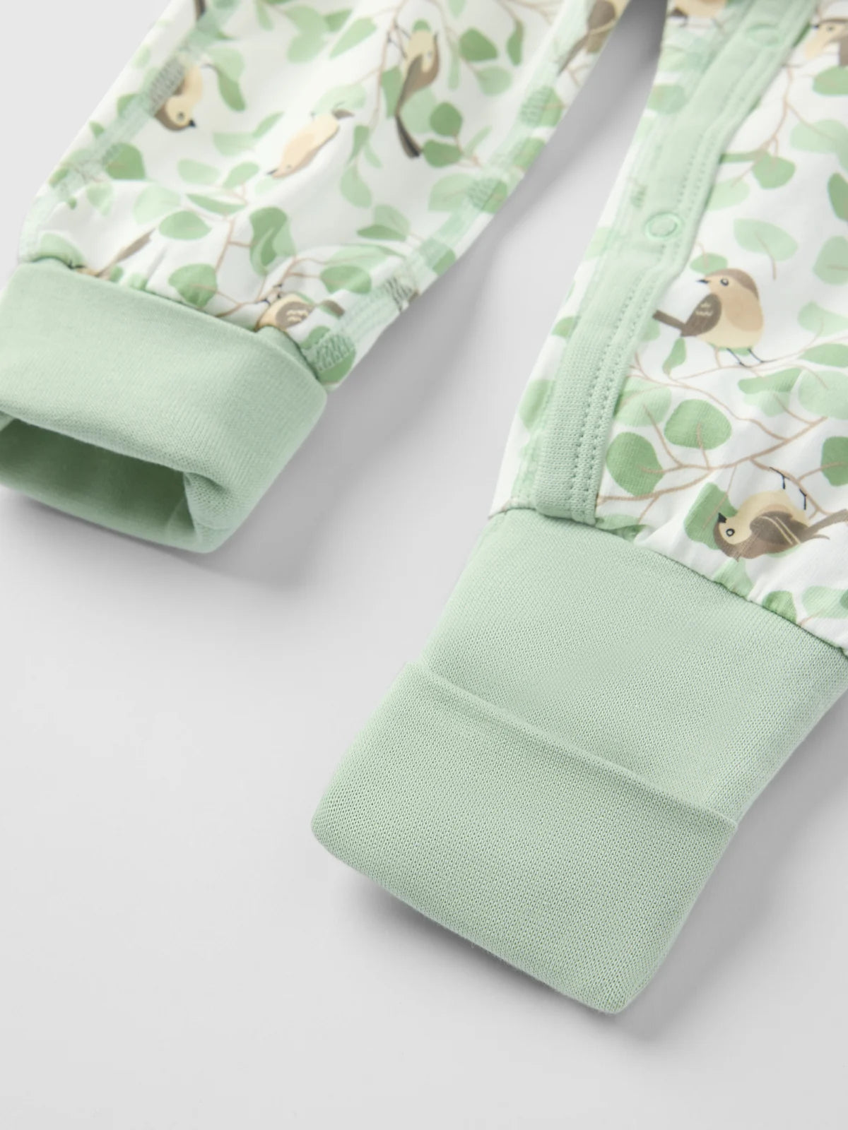 Ungbarna heilgalli Birds