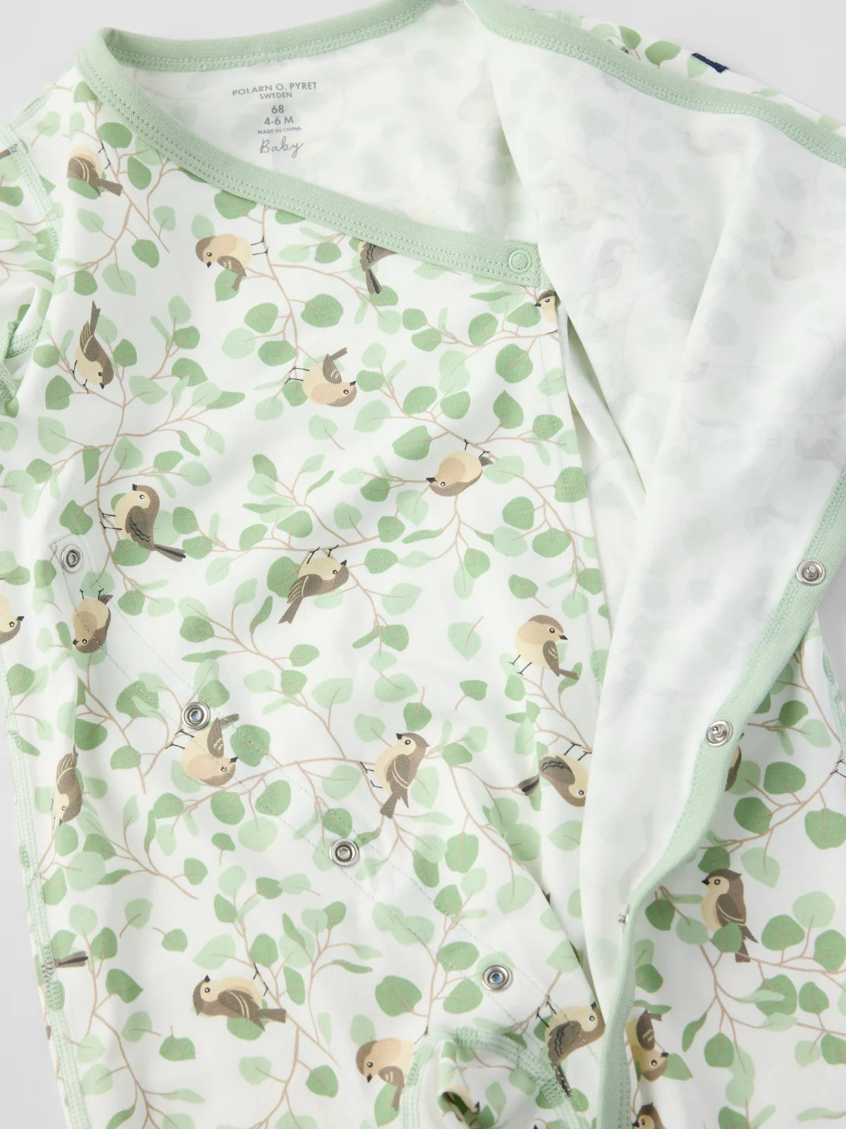 Ungbarna heilgalli Birds