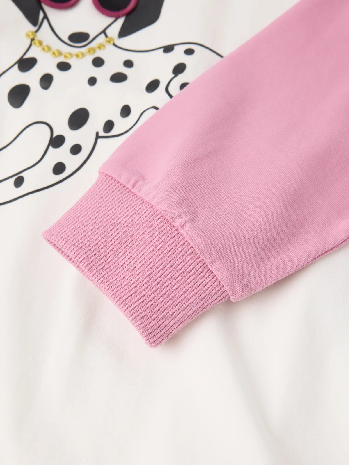 Bolur með Dalmatíu hundi