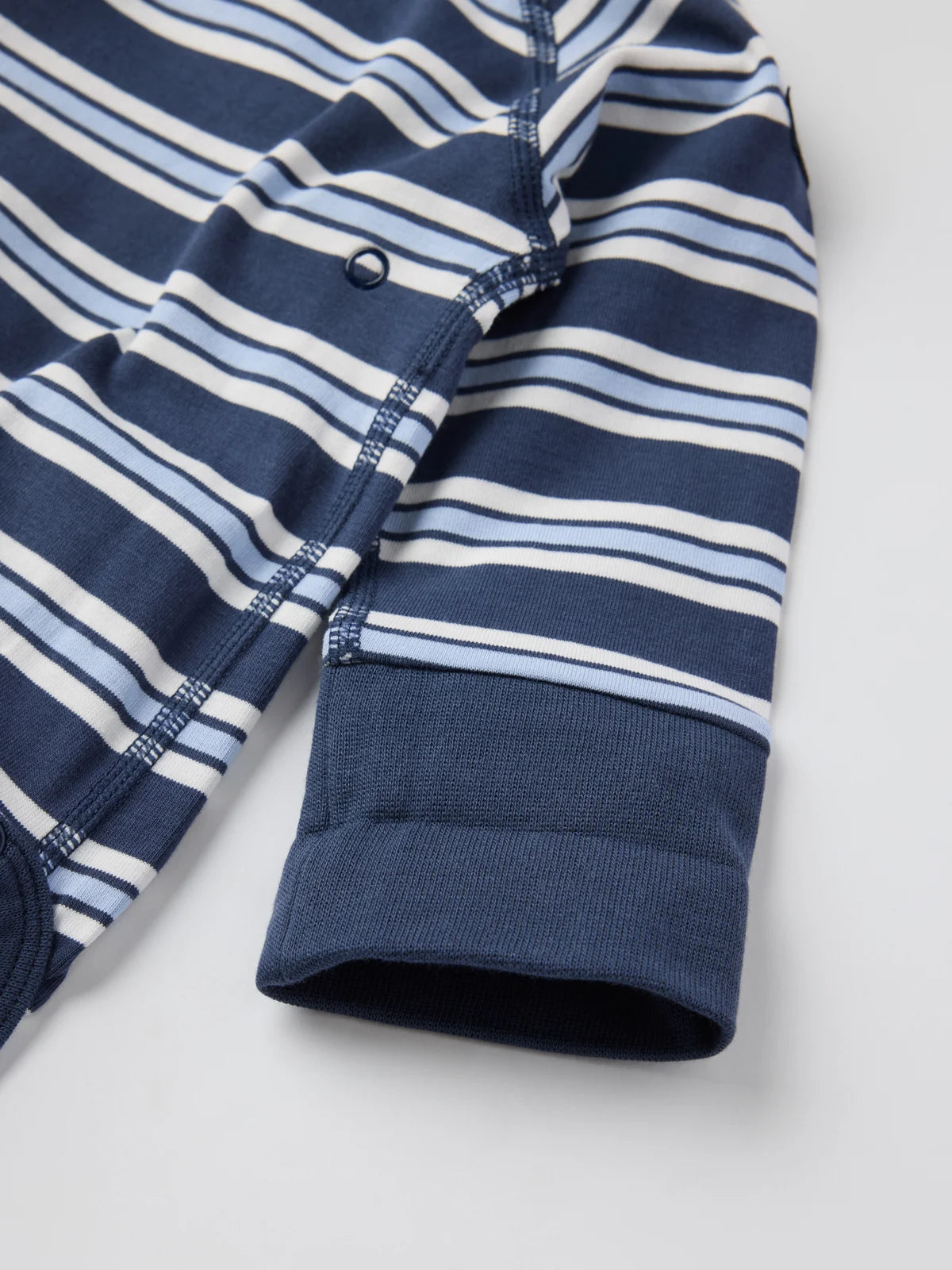 Skásamfella röndótt